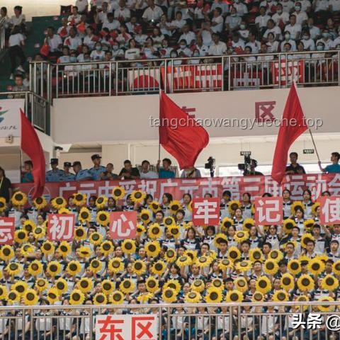 《反方向の扶贫》：逆向思维助力精准脱贫实战指南